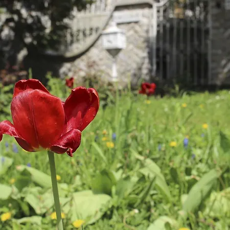 Omega Vendeghaz Penzion